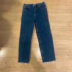Everlane The Way High Jean Size 27R 26” inseam